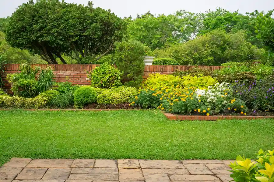 Reliable Landscape Contractor in Aurora, CO