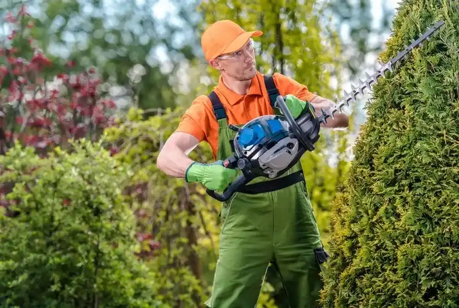 How Bush Trimming Contributes To Lawn Health Aurora, CO