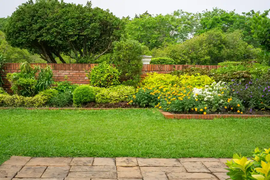 How To Create Privacy And Shade With Backyard Landscaping Aurora, CO