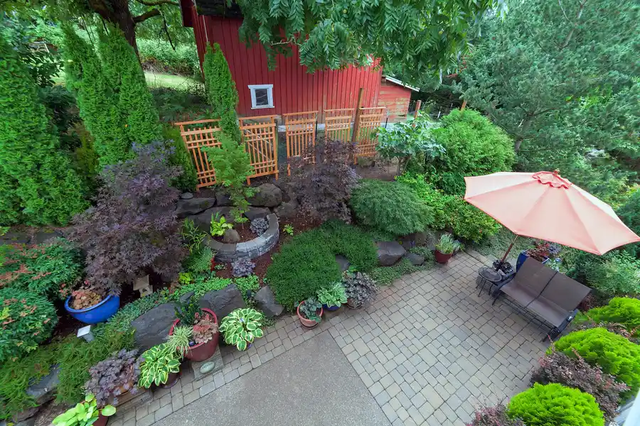 How To Create Privacy And Shade With Backyard Landscaping in Aurora, CO