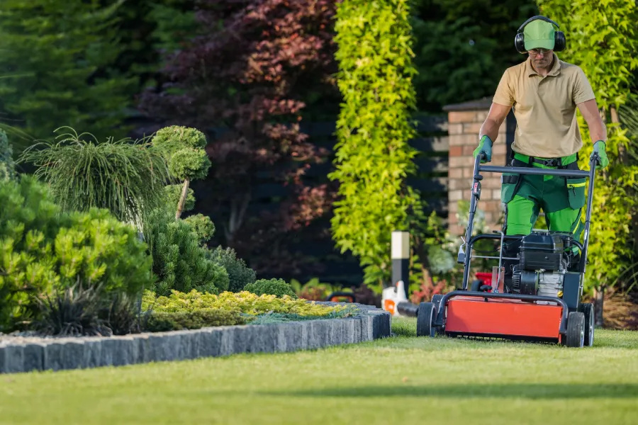 How To Keep Your Yard Looking Great All Year Long Aurora, CO
