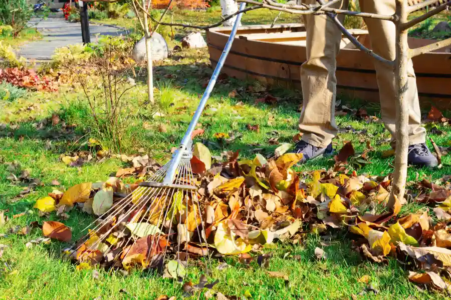 How To Keep Your Yard Looking Great All Year Long in Aurora, CO
