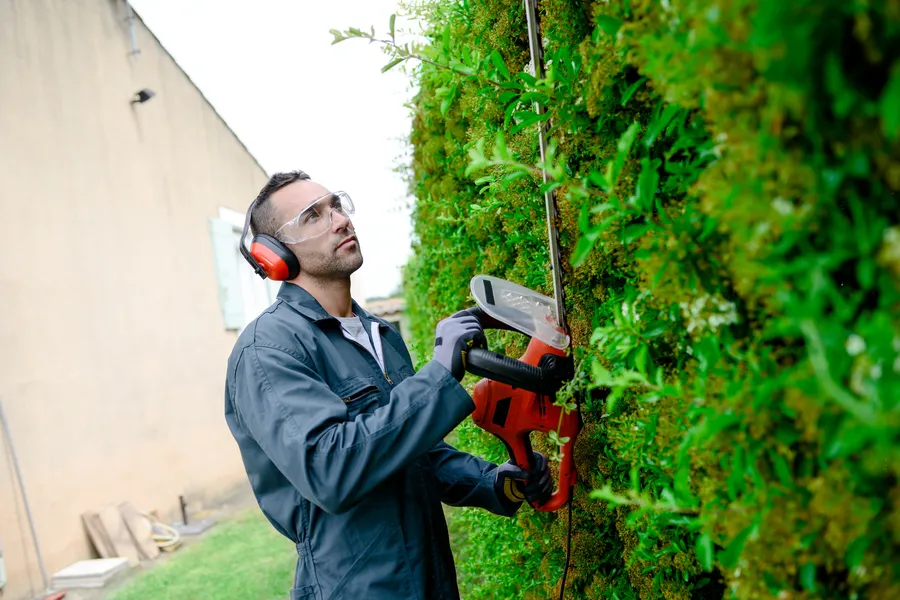 Key Benefits Of Regular Bush Trimming For Your Yard in Aurora, CO
