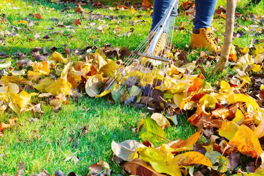 The Benefits Of Professional Yard Maintenance Services Aurora, CO