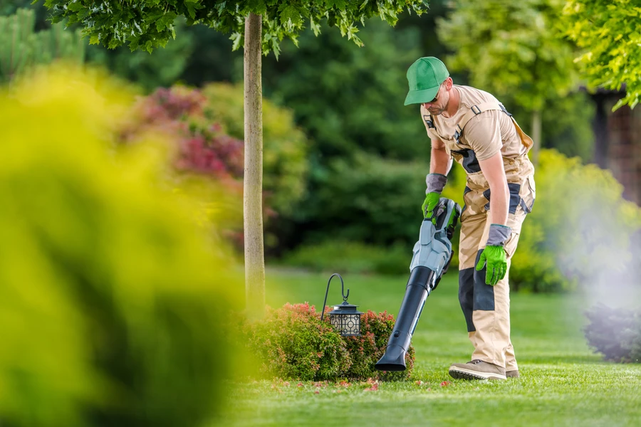 The Benefits Of Professional Yard Maintenance Services in Aurora, CO